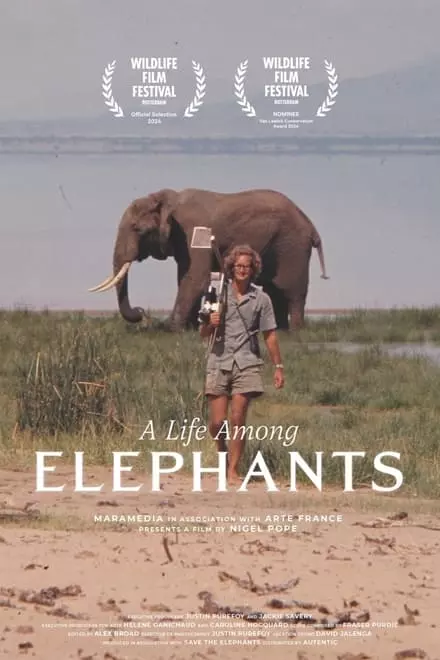 A Life Among Elephants A Life Among Elephants